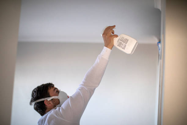 Attic Mold Removal in Isla Vista, CA