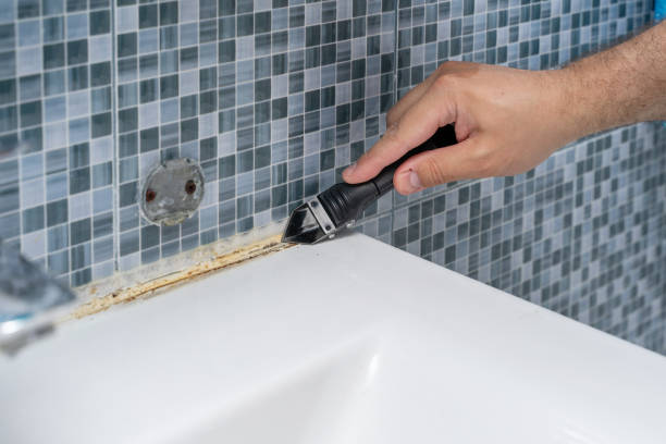 Best Toxic Mold Removal  in Isla Vista, CA