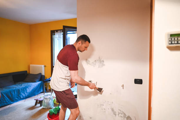Reliable Isla Vista, CA Mold Removal Solutions