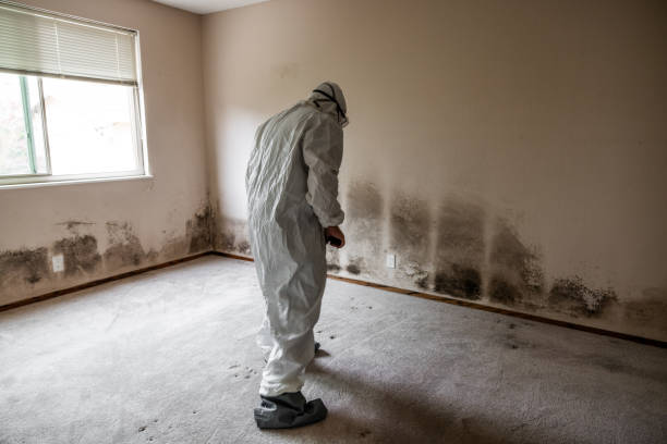 Best Crawl Space Mold Removal  in Isla Vista, CA
